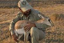 جولان شکارچیان متخلف در مناطق حفاظت شده دنا