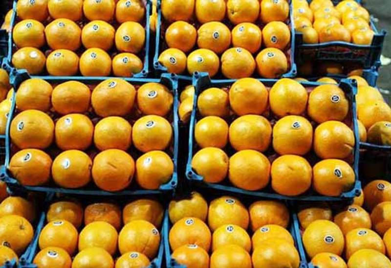 میوه شب عید 10 درصد زیر قیمت بازار کهگیلویه و بویراحمد توزیع می شود