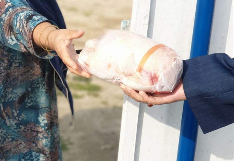 توزیع 3 هزار کیلوگرم گوشت مرغ منجمد در میان اقشار کم برخوردار کهگیلویه و بویراحمد