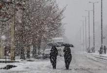 امام جمعه یاسوج: سطح آمادگی‌ دستگاه‌ها در مواجه با بارش برف در حد انتظار نبود