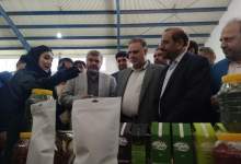 افتتاح کارخانه میوه خشک کنی شهرستان بویراحمد + تصاویر  