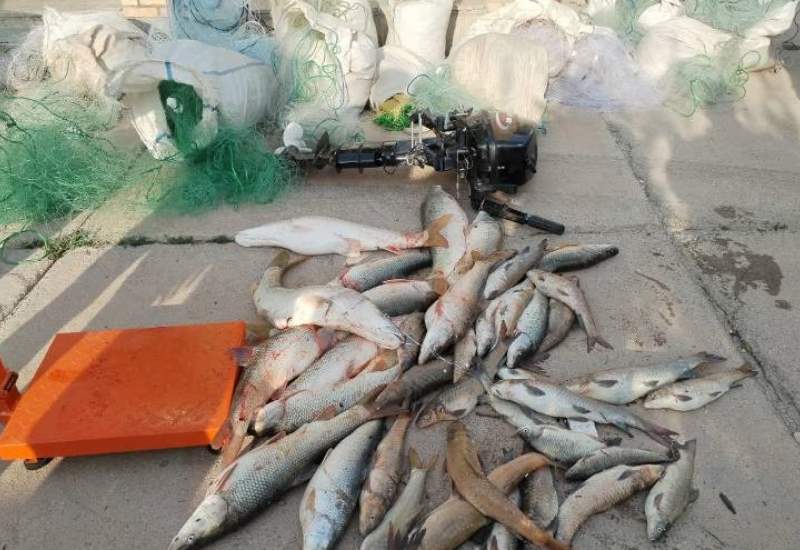 دستگیری گروه متخلف صید ماهی در سد کوثر گچساران