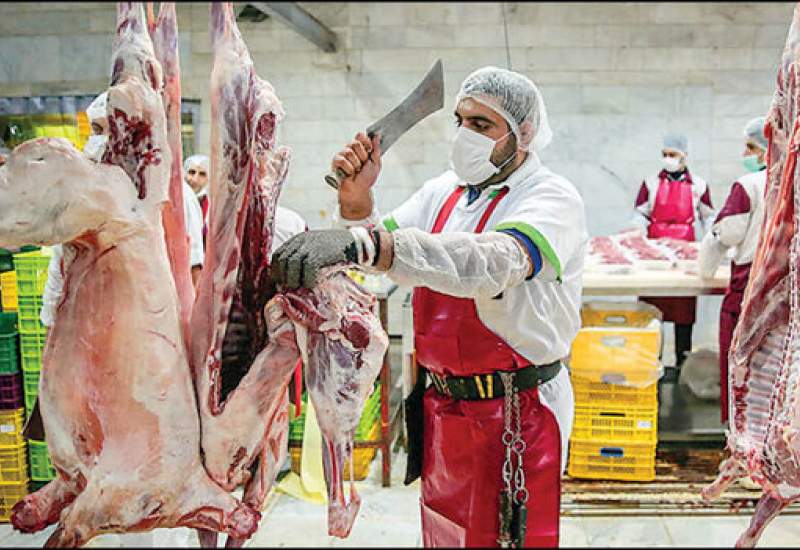 افزایش قیمت نجومی گوشت قرمز در کهگیلویه و بویراحمد / برنامه دولت چیست؟