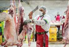 افزایش قیمت نجومی گوشت قرمز در کهگیلویه و بویراحمد / برنامه دولت چیست؟