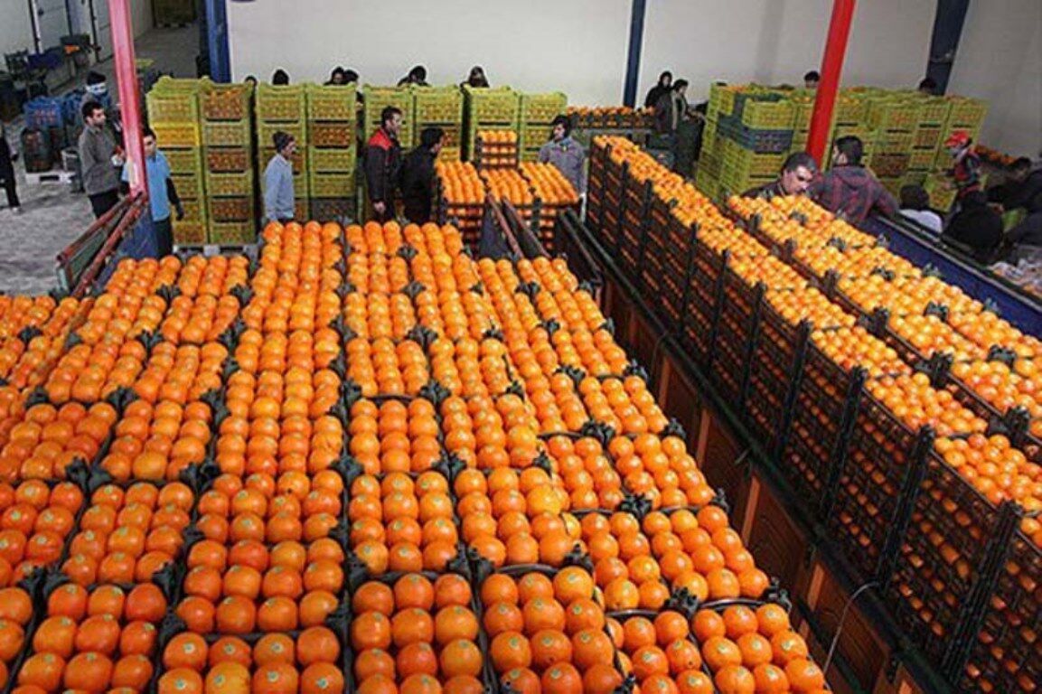 ۲۵۰ تن میوه شب عید در کهگیلویه و بویراحمد ذخیره سازی شد