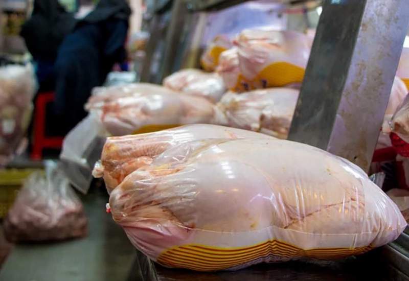 کاهش قیمت مرغ منجمد در بازار کهگیلویه و بویراحمد