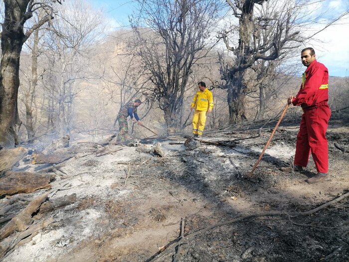 آتش سوزی در کمین جنگل ها و مراتع کهگیلویه و بویراحمد