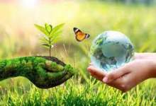 11 توصیه محیط زیست کهگیلویه وبویراحمد برای روز 13 فرروردین