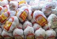 توزیع 650 تن مرغ منجمد در بازار کهگیلویه و بویراحمد + جزئیات