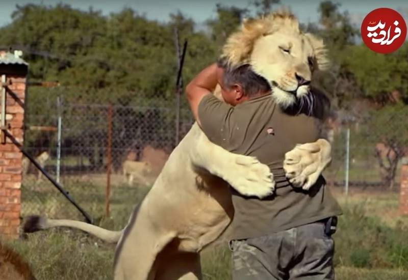 (ویدئو) واکنش احساسی حیوانات به دیدار صاحبان‌شان پس از سال‌ها دوری!