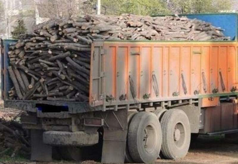 توقیف کامیون حامل چوب قاچاق در گچساران