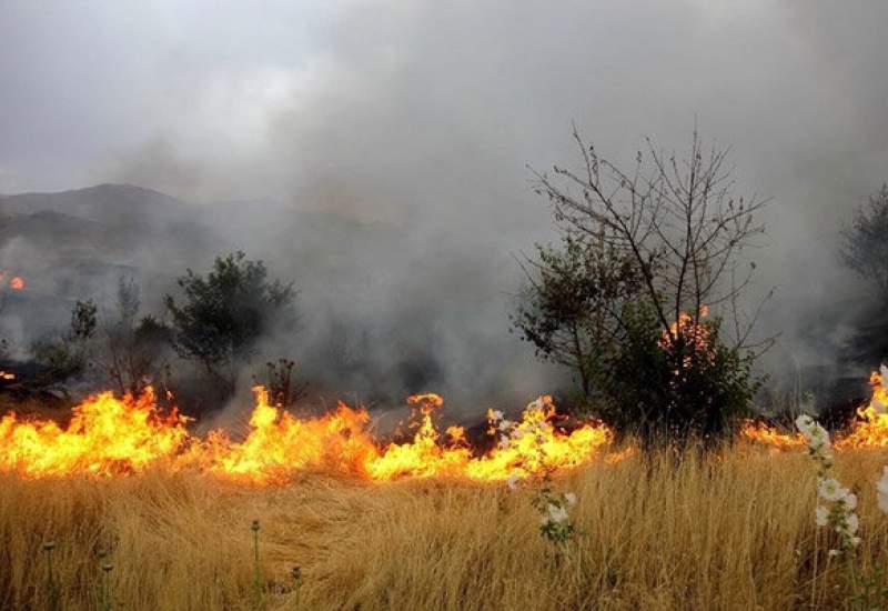 آتش سوزی مراتع و مناطق کشاورزی دنا و بهمئی مهار شد