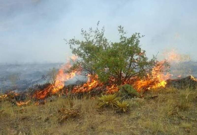 آتش سوزی منطقه آب رزی گچساران مهار شد