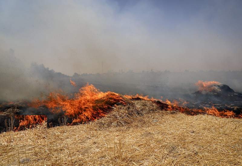 توضیحات فرماندار شهرستان باشت درباره آتش سوزی ۱۰۰ هکتار از جنگل‌ها و مزارع
