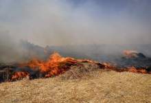 توضیحات فرماندار شهرستان باشت درباره آتش سوزی ۱۰۰ هکتار از جنگل‌ها و مزارع