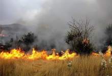 عامل آتش سوزی عمدی مزارع کشاورزی کهگیلویه دستگیر شد