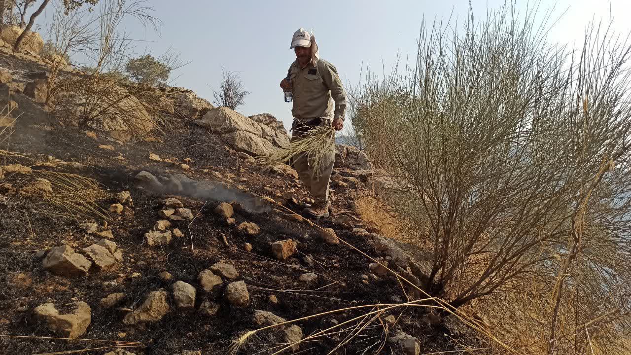 کوه‌های مناطق آزاد شهرستان گچساران در آتش سوخت (+  تصاویر )