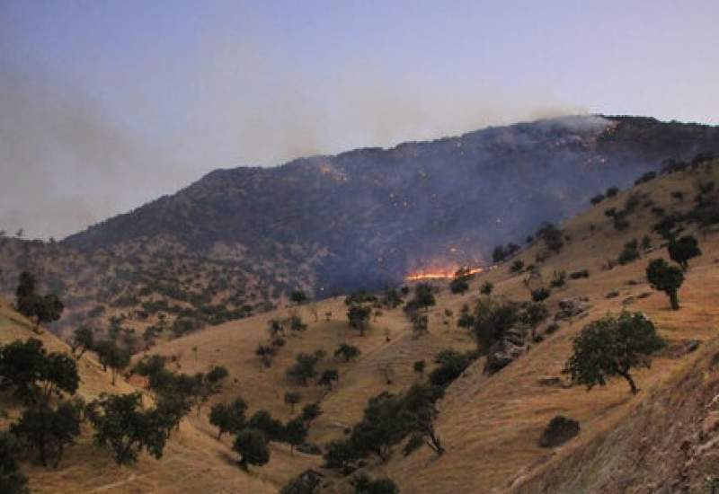آتش سوزی‌ها‌ امان جنگل‌های کهگیلویه و بویراحمد را برید