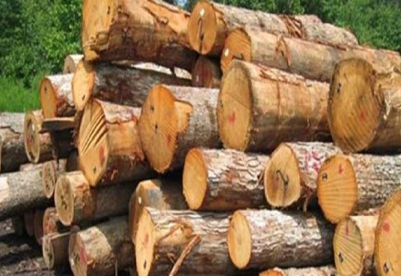 توقیف ۱۸۰۰ کیلوگرم چوب قاچاق در گچساران