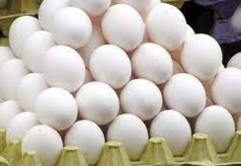 تخم مرغ های فله ای مورد تایید دامپزشکی نیست