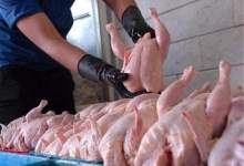 حقه مرغ فروشی‌های یاسوج در کم فروشی / معتمدی‌پور و لقمانی به مردم پاسخ بگویند