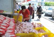 کاهش قیمت مرغ در کهگیلویه و بویراحمد با افزایش تولید