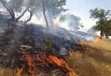 آخرین جزئیات آتش سوزی در کوه‌های بهره عنا باشت / آتش مهار شد