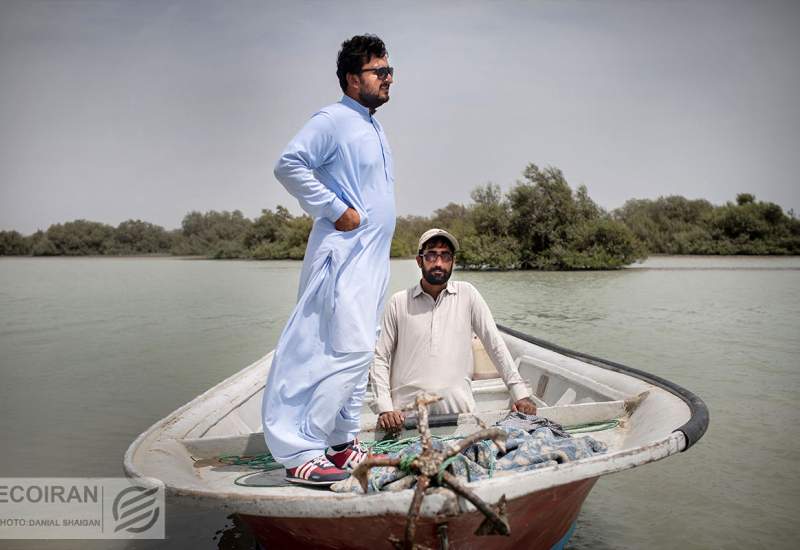 سیستان و بلوچستان در قله بیکاری تابستان 1402 / از هر 10 نفر بیکار، 7 نفر جوان است