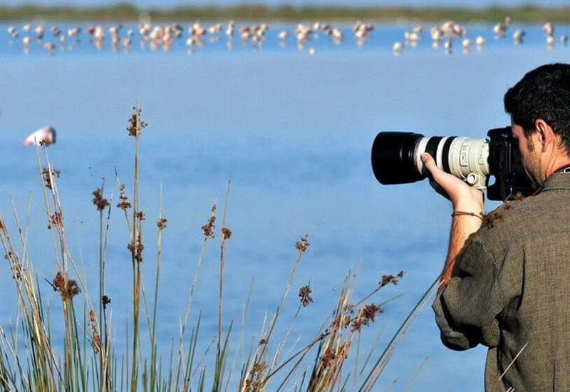 تائید 9 سایت پرنده‌نگری در کهگیلویه و بویراحمد