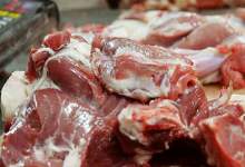 توزیع ۲۷۰ لاشه گوشت گوسفندی در بازار یاسوج / گوشت به قیمت قبلی برگشت