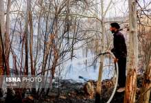 آتش‌سوزی گسترده در باغات «تنگ سریز» بویراحمد (+ فیلم و تصاویر)  