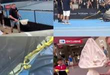 (ویدئو) ورود مار سمی به مسابقات بین المللی تنیس بریزبن  