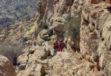 فیلم/ عملیات نفسگیر نجات جان چوپان در ارتفاعات کوه نیر لوداب  