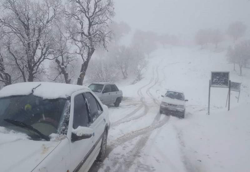 بارش سنگین برف جاده چرام به یاسوج / جاده مسدود شد