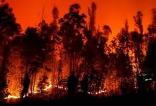 فیلم/ وقوع حریق مهیب در شیلی / ۴۶ نفر در آتش‌ سوختند  