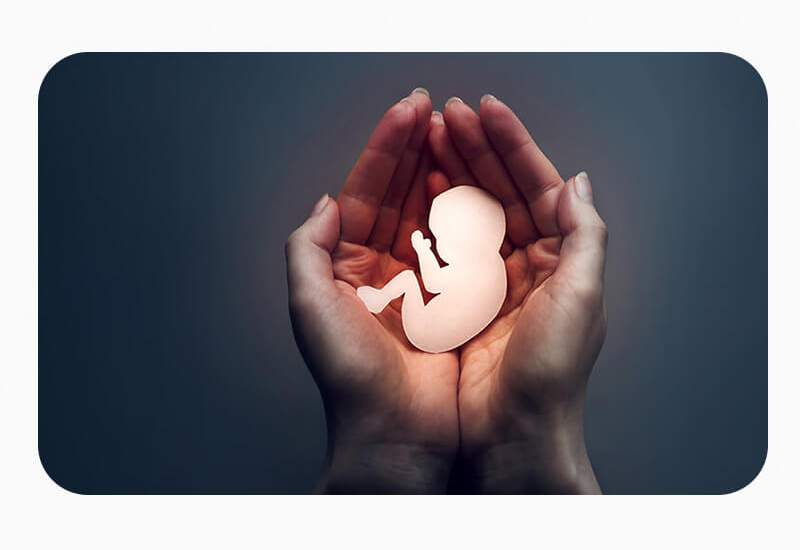 جنين‎هايي‌كه پر مي‌كشند / روایت سقط جنين هایی که روزانه در کشور انجام می گیرد