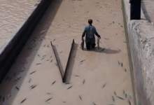 خسارت ۳ هزار میلیارد ریالی سیل به مزارع ماهی در کهگیلویه و بویراحمد