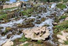 فیلم زیبا و چشم‌نواز از آبشار کمر دوغ چاروسا  