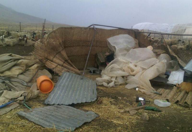 خسارت بارش اخیر به ۹۰ درصد راه‌های عشایری گچساران / تخریب چادرهای عشایر