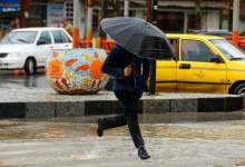 هشدار بارش‌های شدید در ۱۷ استان / موشمی زیلایی رکورد دار میزان بارش‌ها