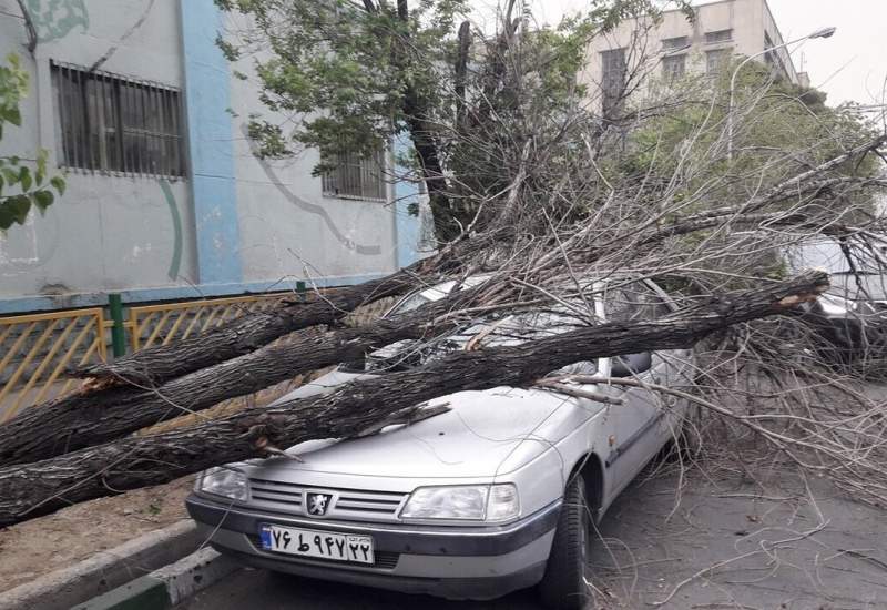 تندباد در اصفهان؛ سقوط ۵۴ درخت و خسارت به ۱۶ خودرو