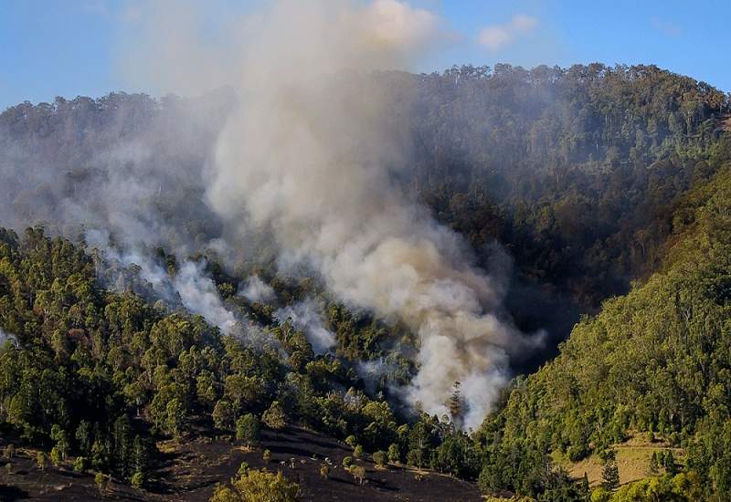 خطر آتش سوزی جنگل‌های کهگیلویه و بویراحمد