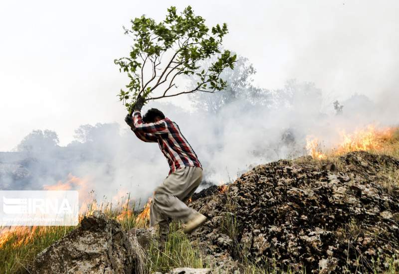 ستاد بحران کهگیلویه و بویراحمد به‌جای رفتارهای پوپولیستی فکری به‌حال آتش‌سوزی‌‌‌ جنگل‌ها کند