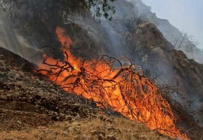 آتش‌سوزی گسترده در جنگل‌های دلی‌مهتاب و ماه اشتران دیشموک کهگیلویه و بویراحمد