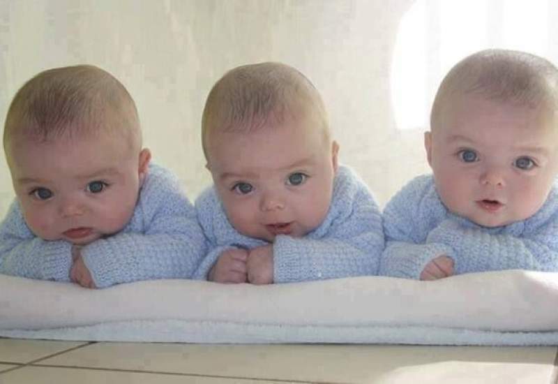 نوزادان سه قلو در گچساران به دنیا آمدند