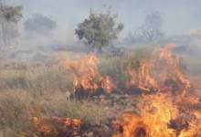 فیلم | آتش‌سوزی گسترده در جنگل‌های خاییز کهگیلویه