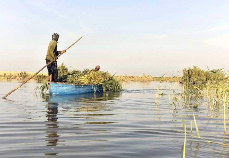 دریاچه هامون، شوق زندگی در سیستان (به قلم: دکتر محمدتقی منصوری کیا)