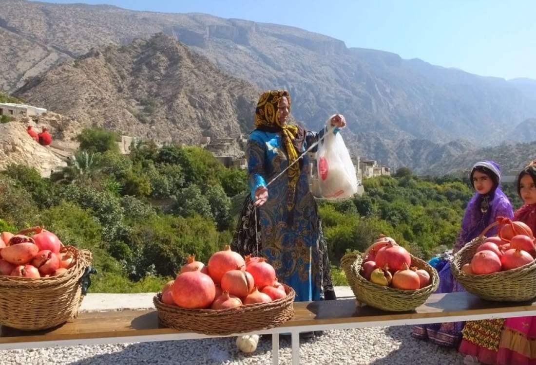 جشنواره‌های میوه در کهگیلویه و بویراحمد؛ شورِ موقت یا شروعِ یک مسیر؟