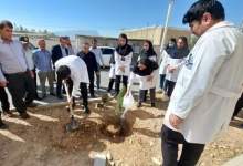 درختی به نام ایثار؛ کاشت نهال به یاد پرستاران در آیین تجلیل روز پرستار در لنده  <img src="https://cdn.kebnanews.ir/images/picture_icon.png" width="11" height="10" border="0" align="top">