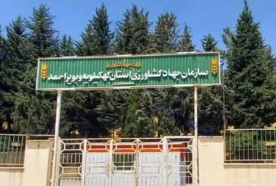 انتصابات و آشفتگی مدیریتی در جهاد کشاورزی کهگیلویه و بویراحمد / لزوم بازگشت به عقلانیت، قانونگرایی و شفافیت انتصابات و آشفتگی مدیریتی در جهاد کشاورزی کهگیلویه و بویراحمد / لزوم بازگشت به عقلانیت، قانونگرایی و شفافیت